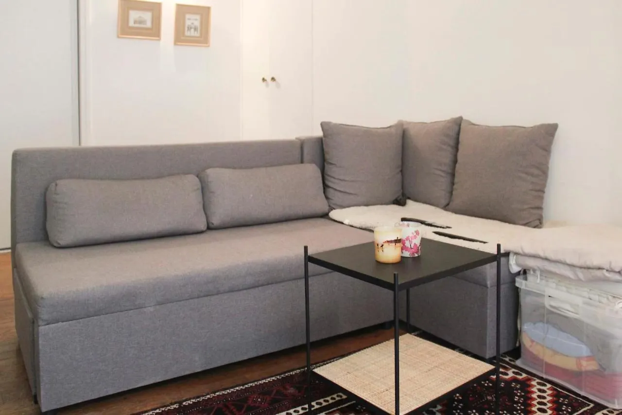 Comfortable Apartment With Beautiful Brightness Paris